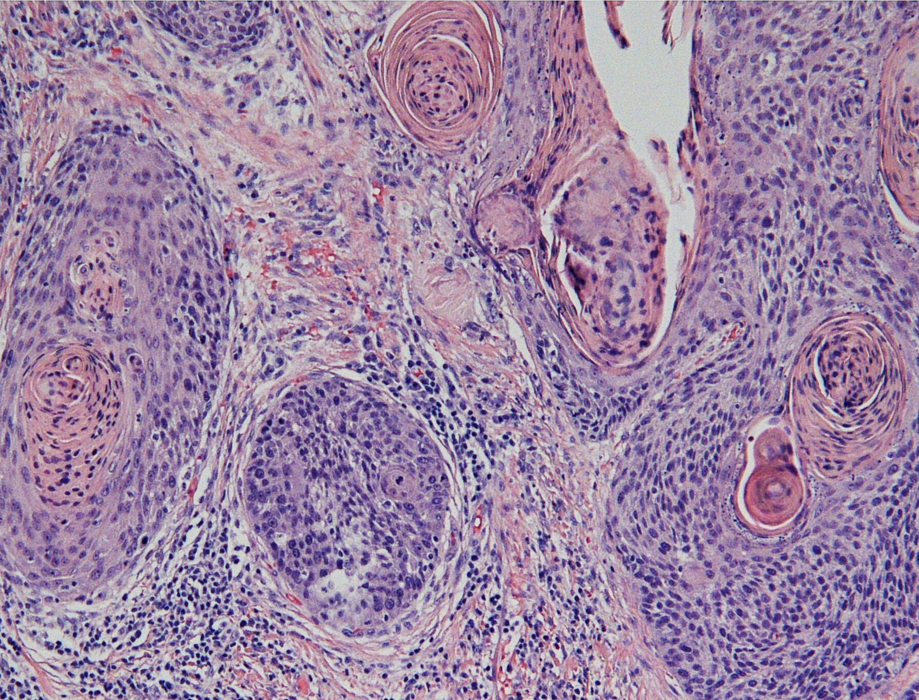 652029e40011392359797f0b