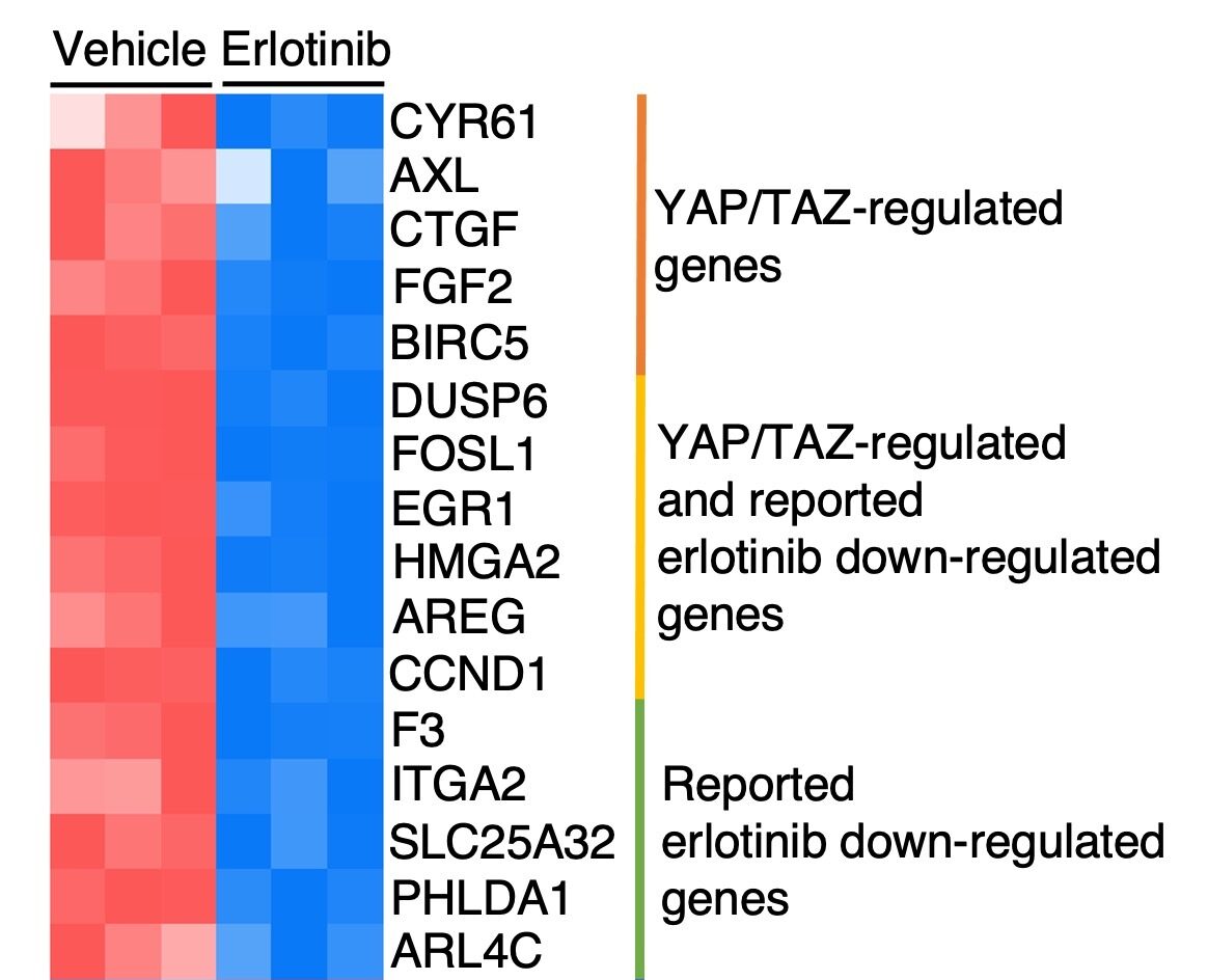 652034da3c6b0623f6136ad0