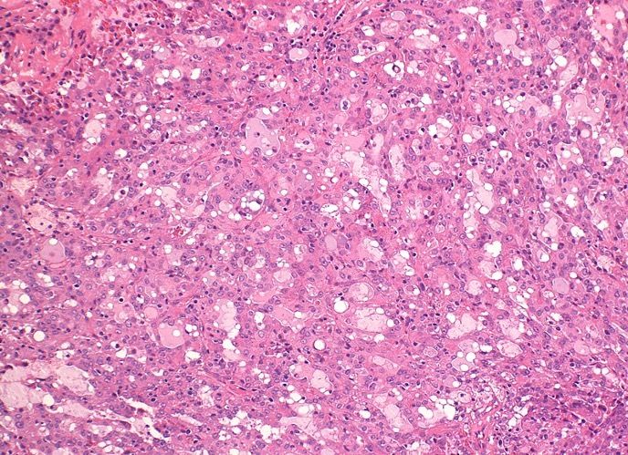 652188ec2855cb2314f95015