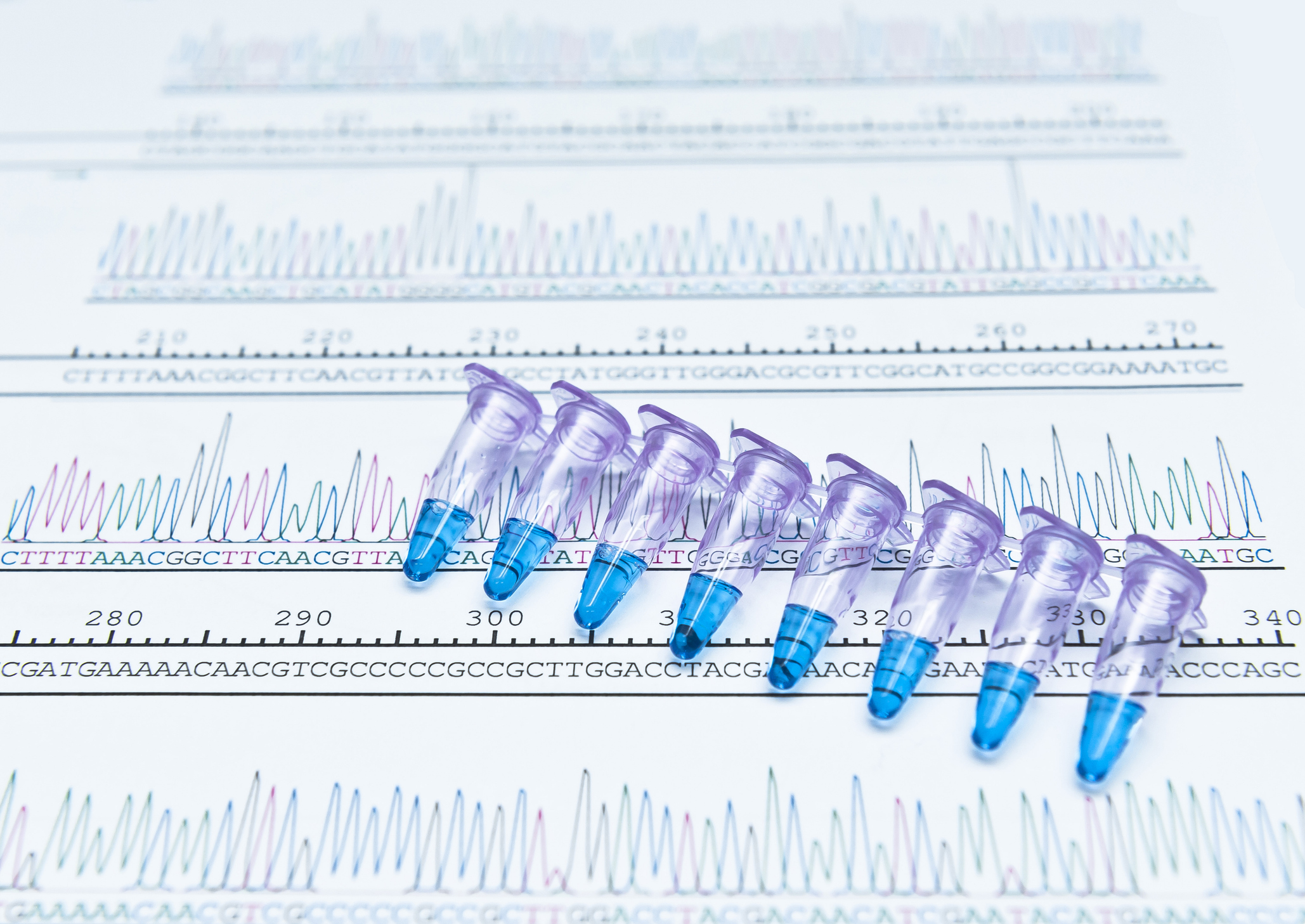 PCR DNA sequence analysis by chromatogram peaks